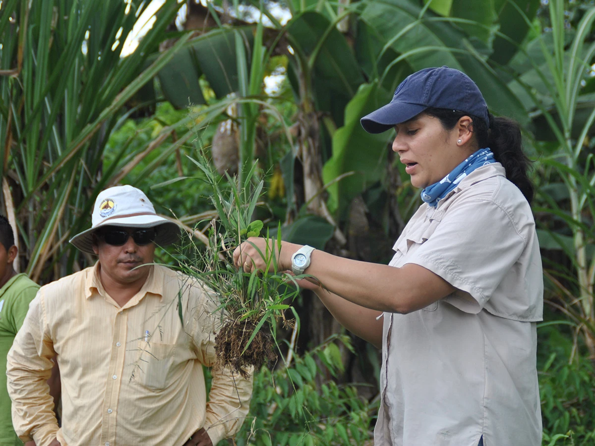 UX-Novum-conocenos-0011